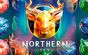 Northern Sky